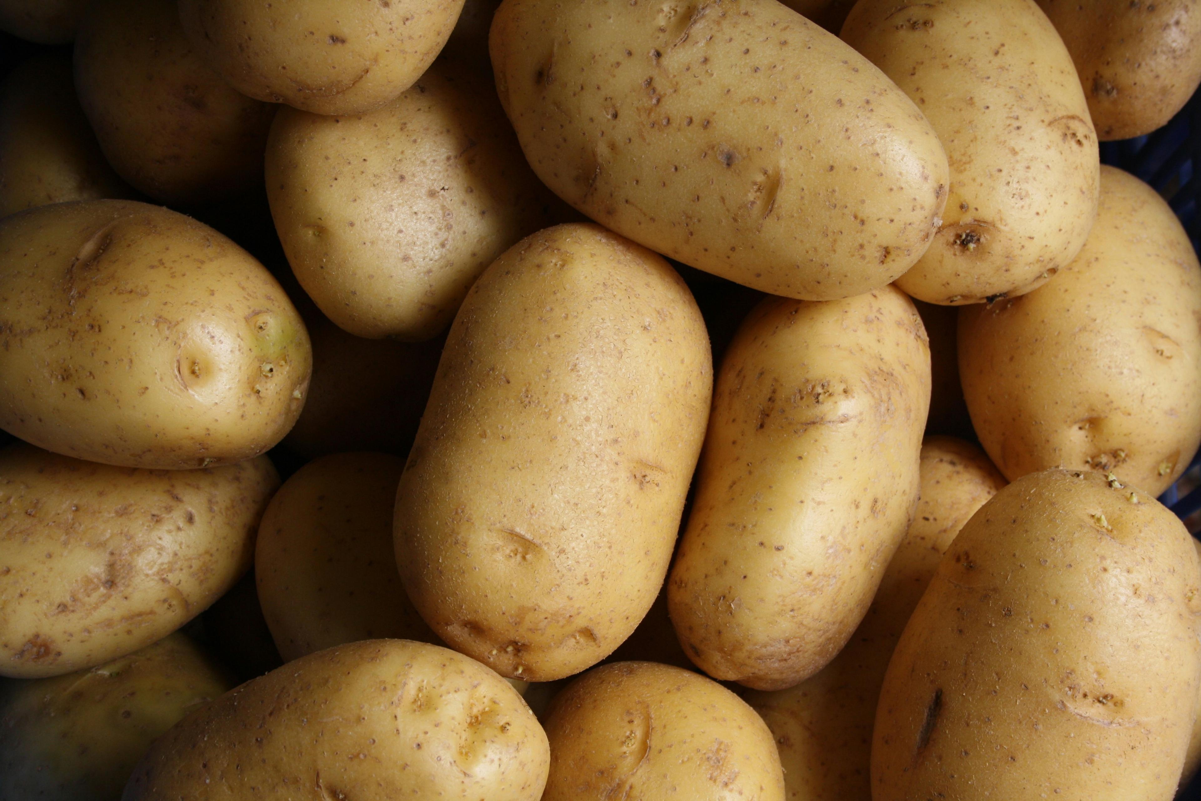 Irish Potato