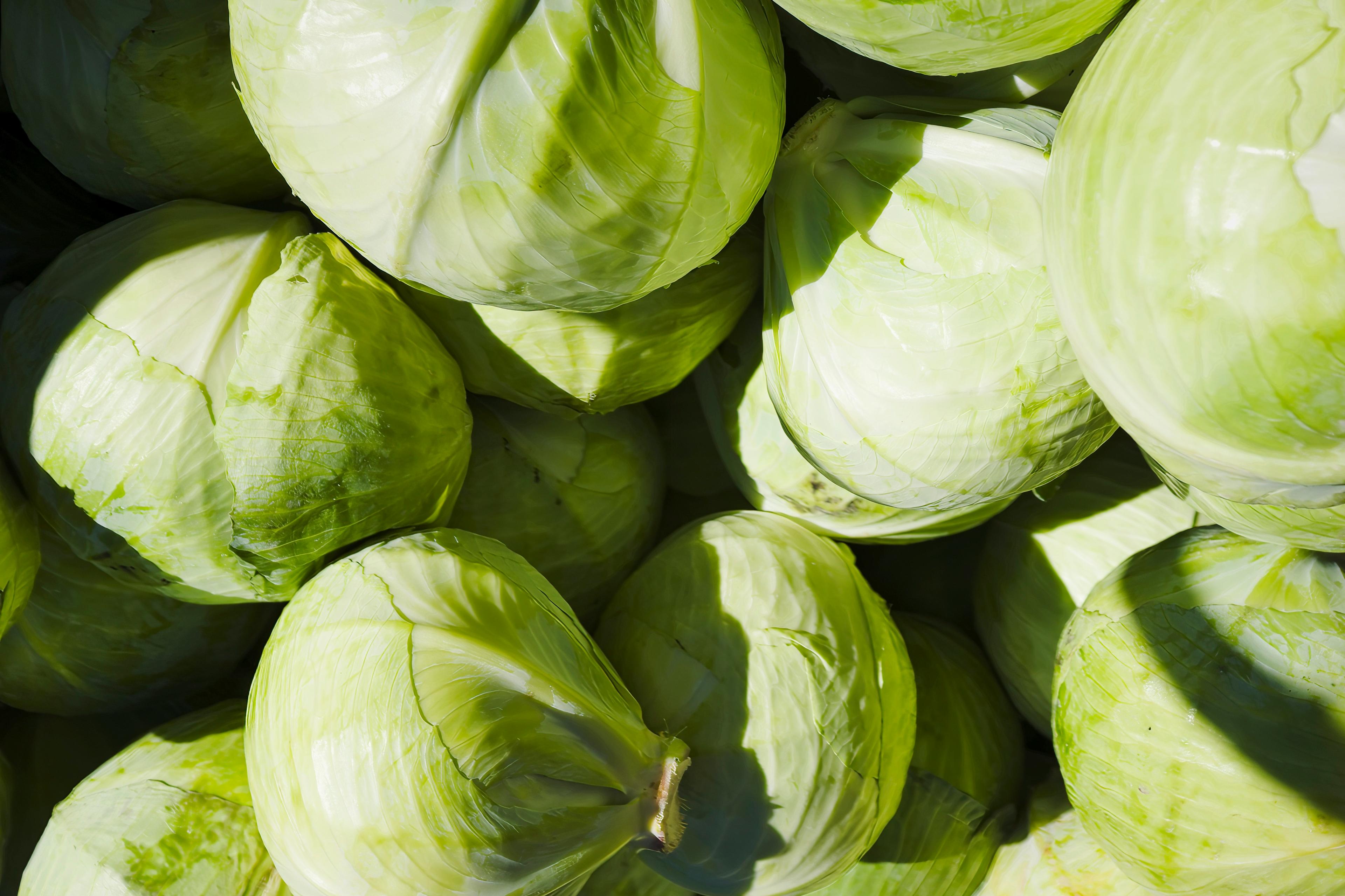 Cabbages