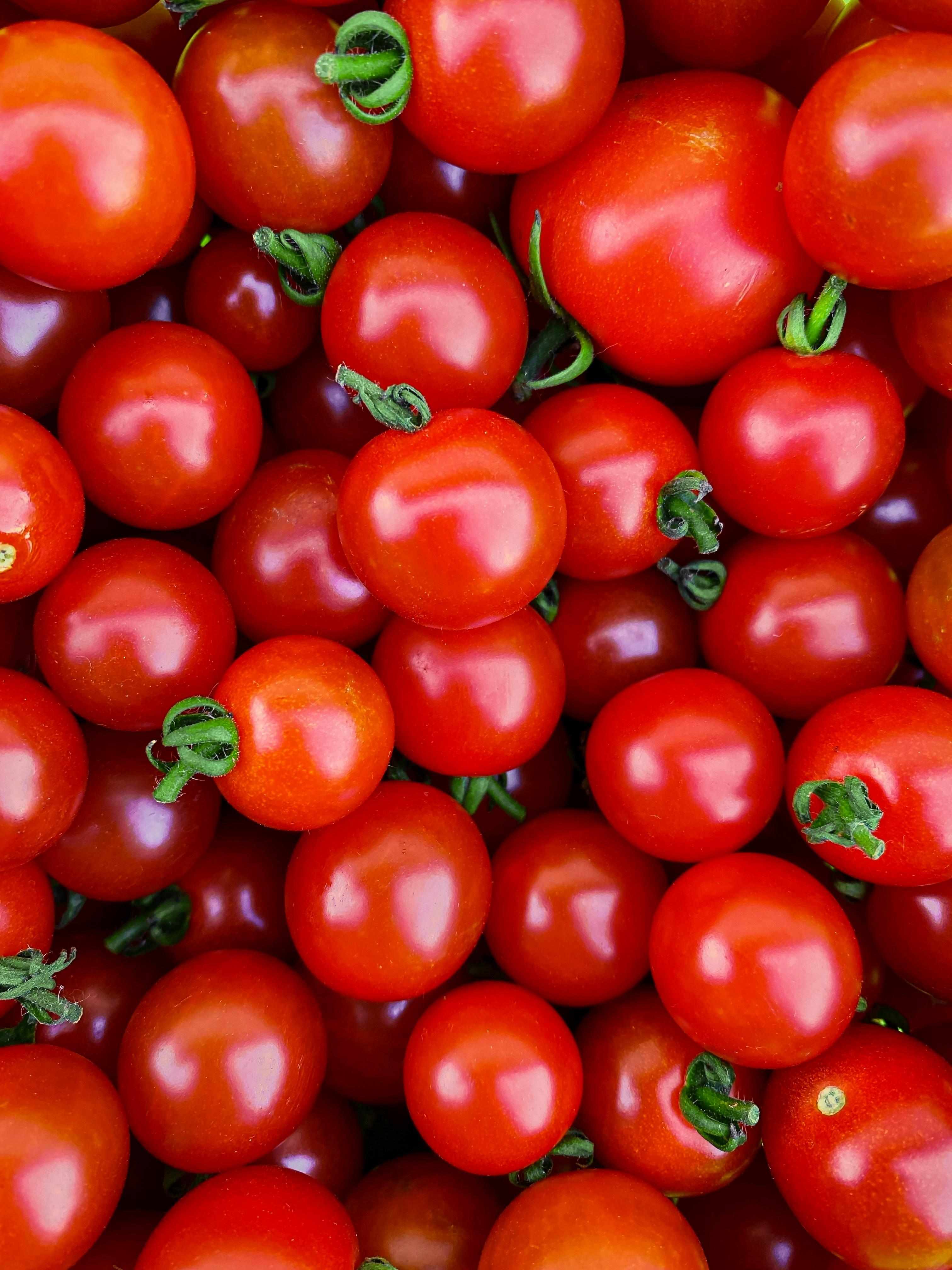 Tomatoes