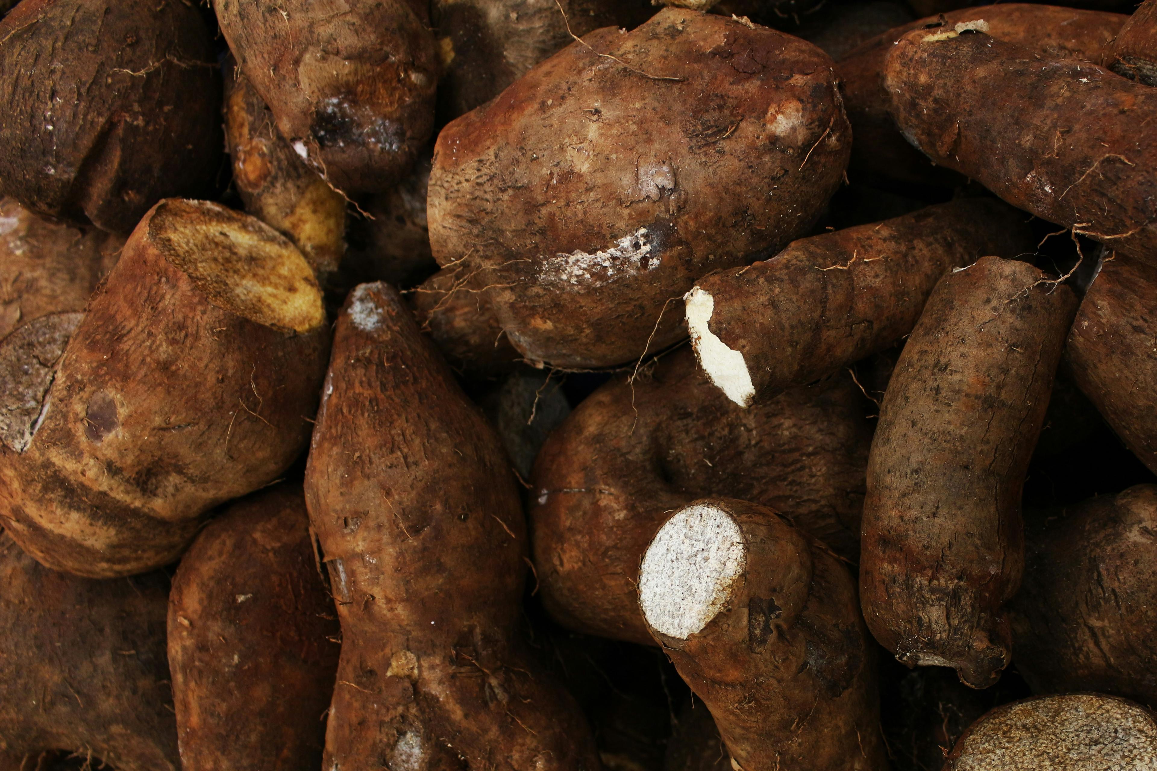 Yam